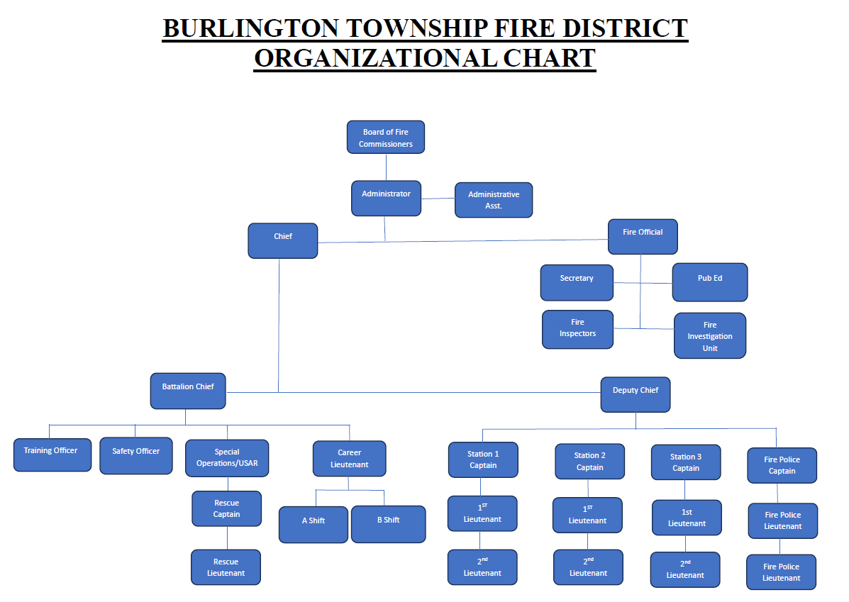 Graphic of BTFD Organizational Chart 